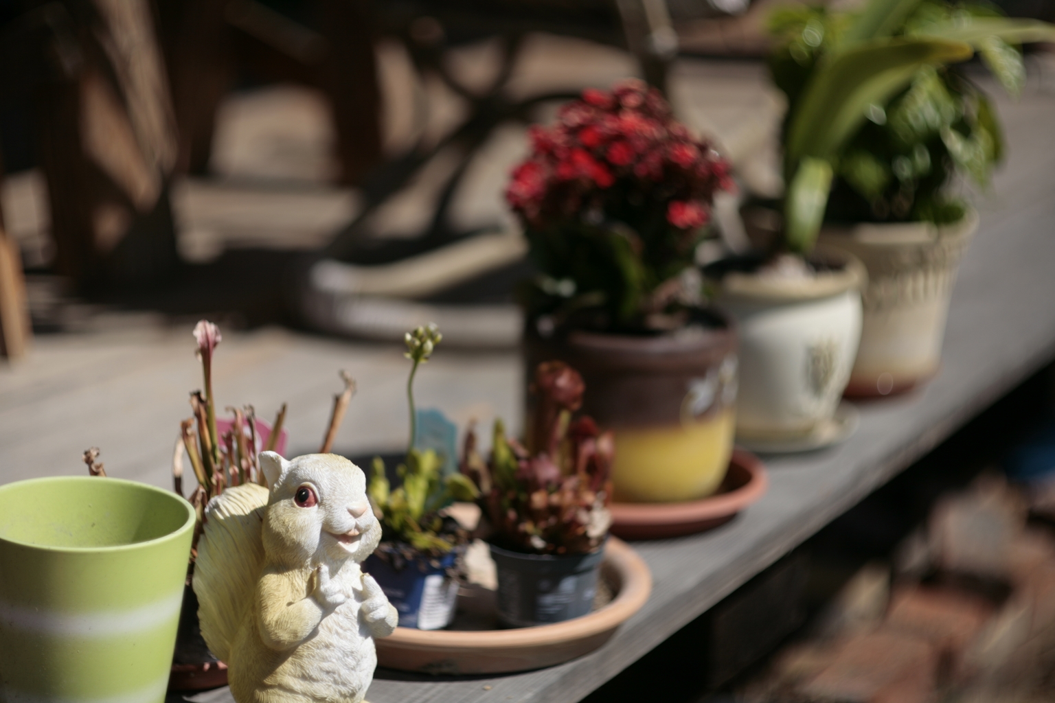 Doniczki i detal na tarasie